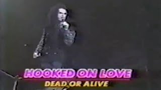 Dead or Alive - Hooked On Love (Live In Budokan , 1987)