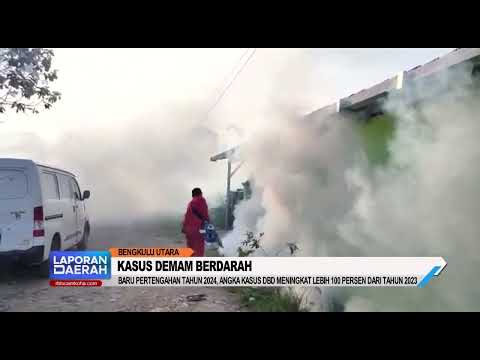 Baru Pertengahan Tahun, Kasus DBD Meningkat 