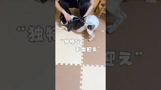 独特なお出迎え🐶