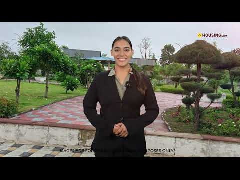 Fortune Blue Ridge Project Video 1