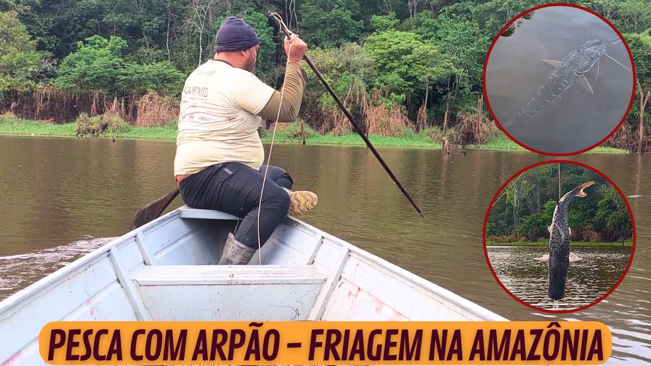 PESCA COM ARPÃO PEIXE SURUBIM JUNDIÁ E CAPARARI - FRIAGEM NA AMAZÔNIA