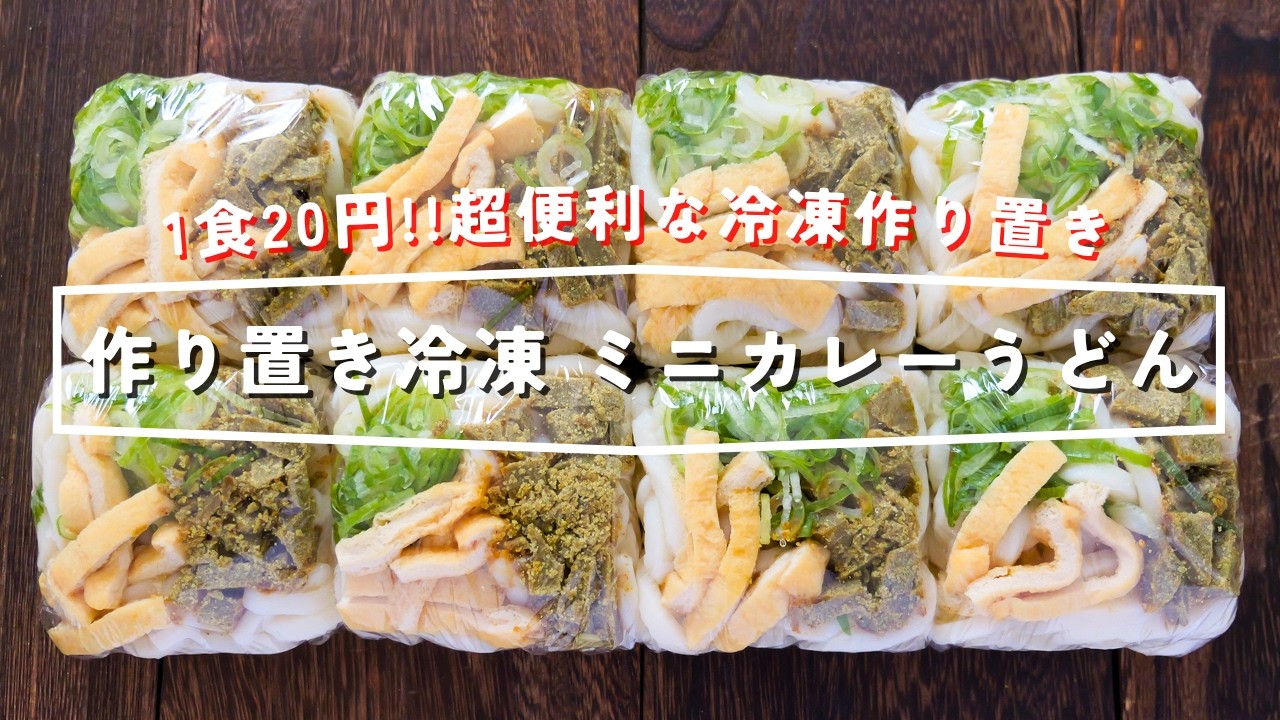 Frozen Mini Curry Udon