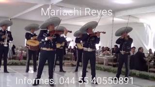 La Bikina. Mariachi Reyes Jalisciense. Tel. 5540550891