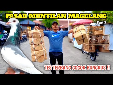 SHOPPING FOR GIRINGAN PIGEONS AT MUNTILAN MARKET MAGELANG GOOD GOOD SUITABLE PACKAGING PART 3