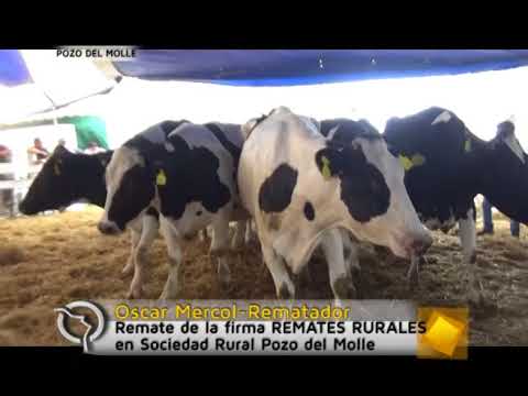 Imágenes del Remate de la firma Remates Rurales