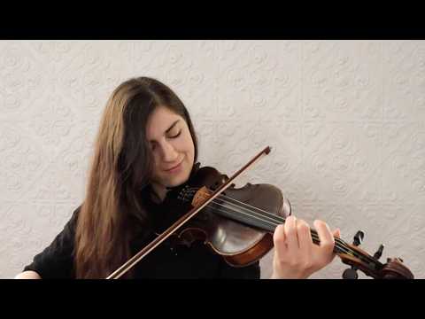 SWALLOWTAIL JIG ✨ Traditional Irish jig