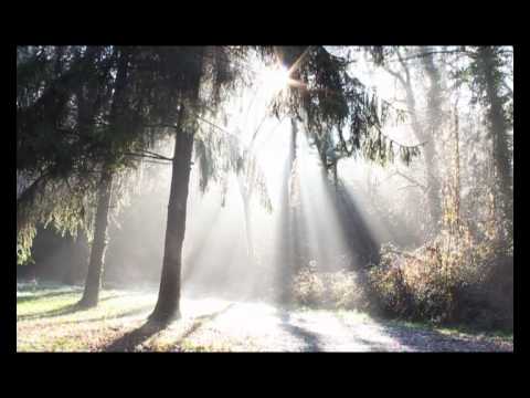 Department of Eagles - Phantom Other