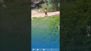Download lagu Momen Bokem Punya Kesabaran Setipis Tisu, Layangan Gagal Terbang Malah Diajak Gelut mp3 Download lagu Momen Bokem Punya Kesabaran Setipis Tisu, Layangan Gagal Terbang Malah Diajak Gelut mp3