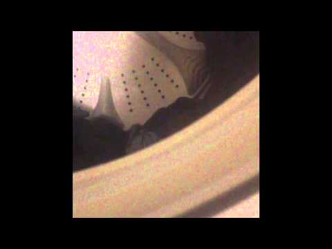 dogs pracTIceen lacTose vegeTerIanIsm