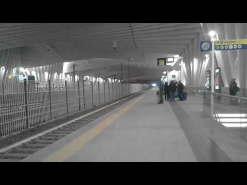 Reggio Emilia Alta Velocità Mediopadana, Stazione di Reggio Emilia Alta Velocità Mediopadana(1)