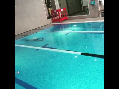 ロンドンのあなたの次の市長は、新しいバタフライを設定しますか？ストローク世界記録!?#olympics2021 ? (Your Next Mayor of London Sets New Butterfly ? Stroke World Record! ? #olympics2021 ?)