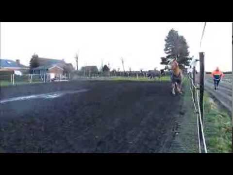 helios & sacha 22 02 2014