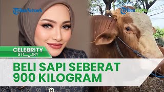 Perdana Kurban seusai Memeluk Agama Islam, Nathalie Holscher Boyong Sapi 900 Kg Tanpa Menawar