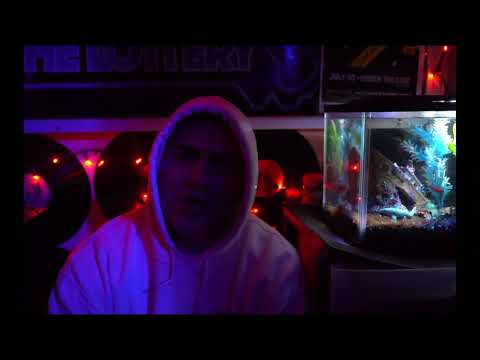 Enels - Golden Era / Our Creator Freestyle