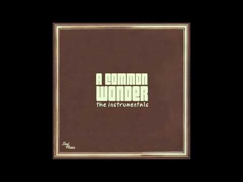 Common & Stevie Wonder - A Common Wonder (Instrumentals) | Amerigo Gazaway (Full Album)