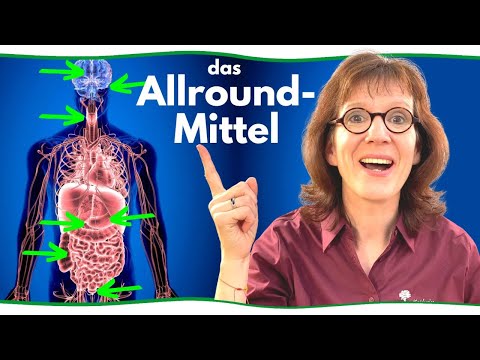 Homöopathie Meister - darum solltest du Belladonna zu Hause haben