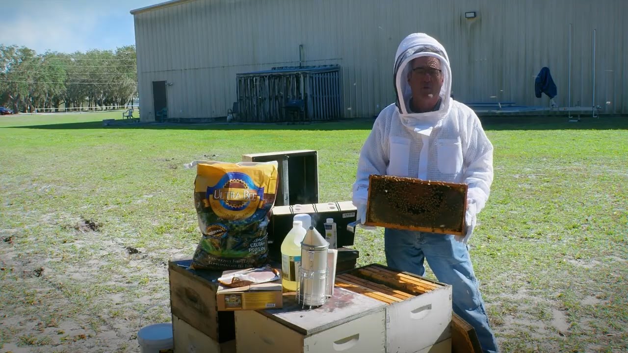 When & What to Feed Your Bees