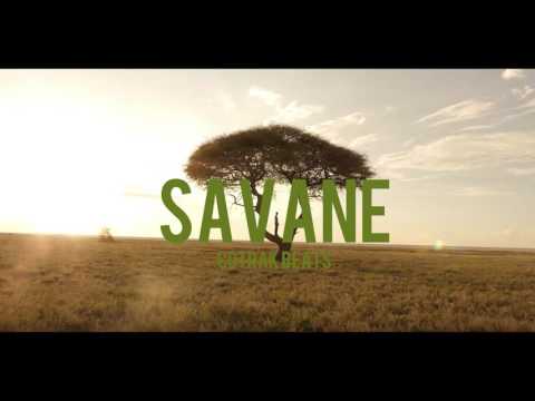 SAVANE - PNL Type Beat Instrumental (Prod. Cotrak)