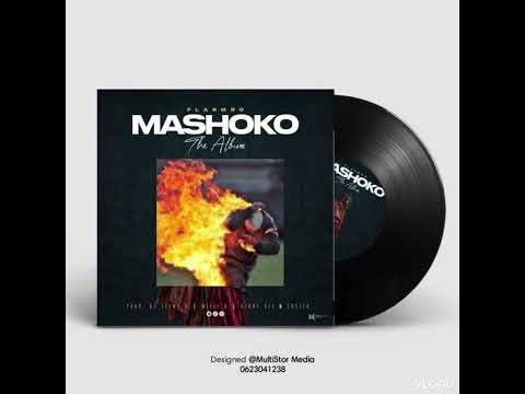 Flarmbo _ Handinyengerere (mashoko album)