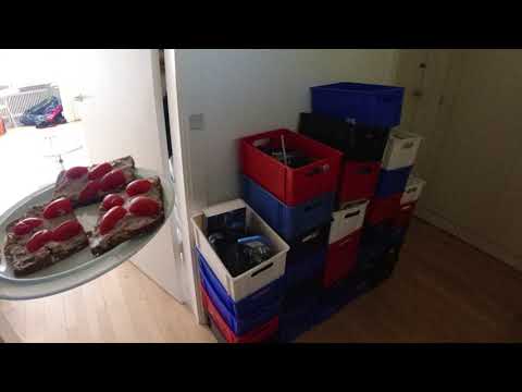 MongoTV_6933 - Min Frokost - RUGBRØD Med LEVERPOSTEJ og TOMAT