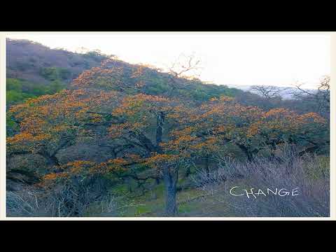 Change - Sjowgren