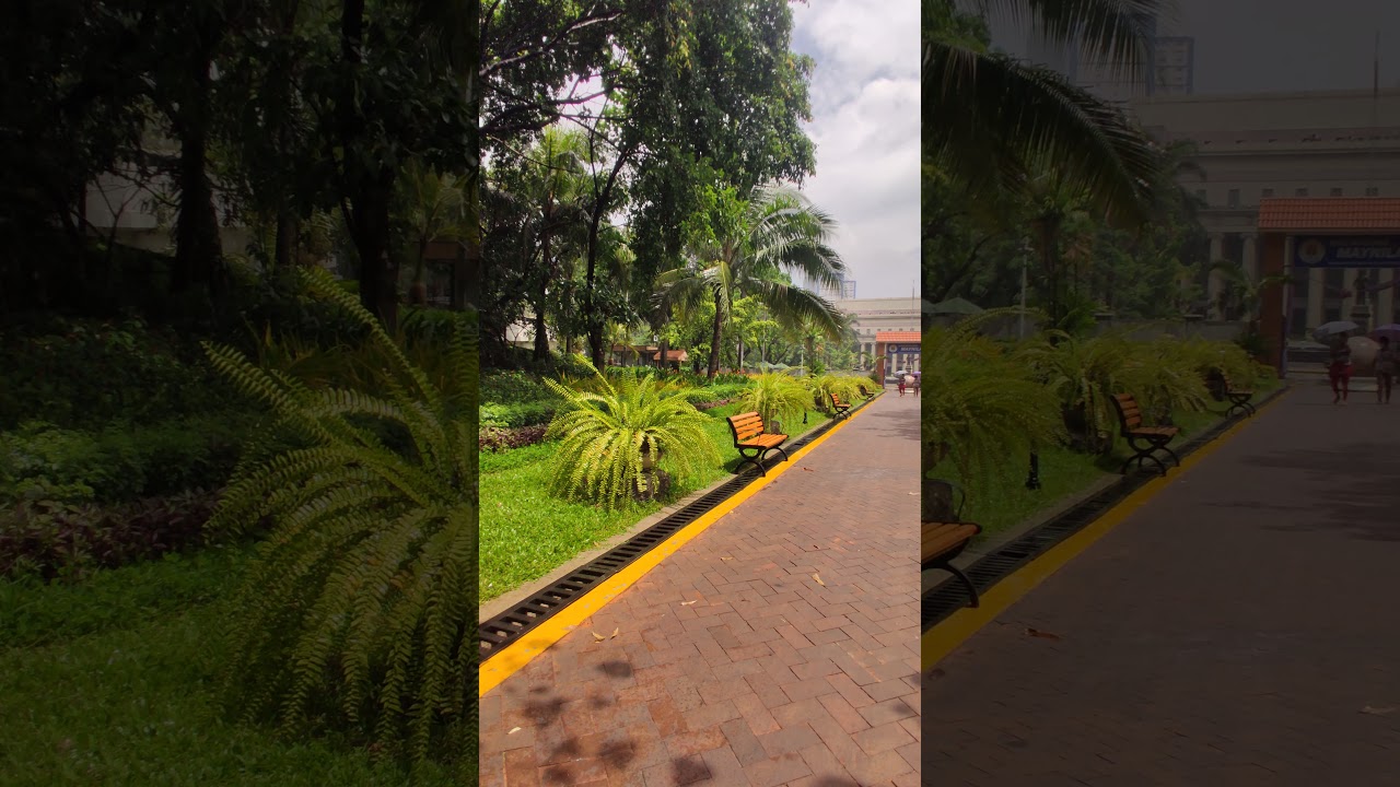 YouTube Short thumbnail