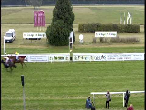 Galopprennbahn Dresden - 06.10.2013 - 7.Rennen