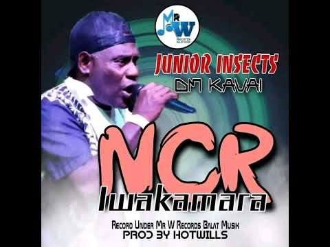 Junior Insects Band -Iwakamara (Produced by Mr W)