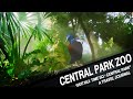The Best 10 Central Park Zoo New York Information