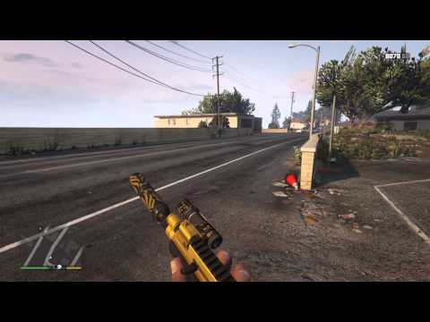 GTA 5 cop hits mr.Whiskers