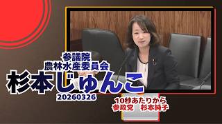 参政党【杉本じゅんこ】【杉本純子】🍊参議院農林水産委員会🍊20260326　#参政党 #杉本じゅんこ
