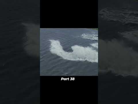 Big Wolf attack on city No one  can Help us #hollywoodmovies #shorts