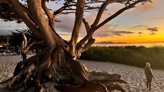 “Big Poppa” Remix -Notorious B.I.G.