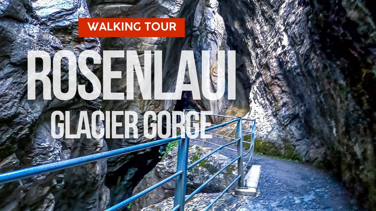 Embark on a captivating walking tour through Rosenlaui Glacier Gorge.