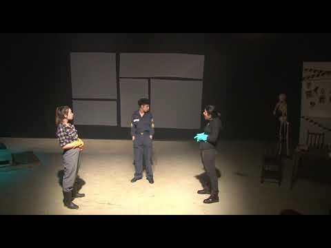 O Silêncio de Ophelia - UFGD 2018