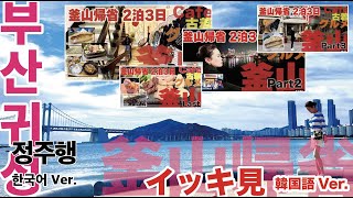 【몰아보기】부산 귀성 브이로그 몰아보기　【イッキ見】日本在住韓国人の釜山帰省Vlog　釜山生まれ、釜山育ち、日本在住20年。