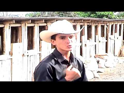 JOSE LUIS   HASLO POR MI