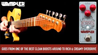 Video thumbnail for WAMPLER GERMANIUM TUMNUS by Mike Hermans