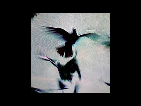 LUCIO BUKOWSKI X OSTER LAPWASS - NEIGE CARBONIQUE