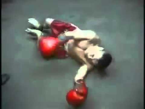 CUMAPOKER - KURCACI MAIN TINJU PASTI NGAKAK