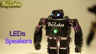 BeRobot + STEM + AIOT introduction