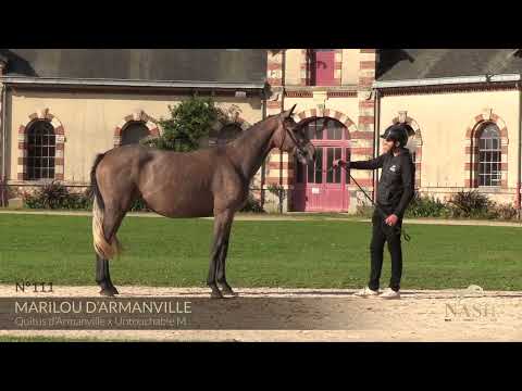 MARILOU D'ARMANVILLE