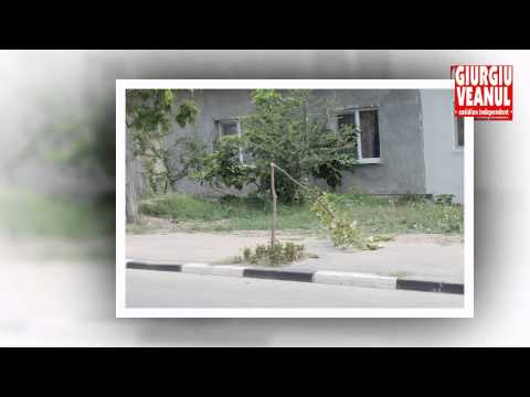 Betia si prostia la romani