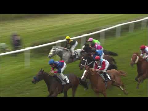 Galopprennbahn Dresden - 20.11.2019 - 7.Rennen