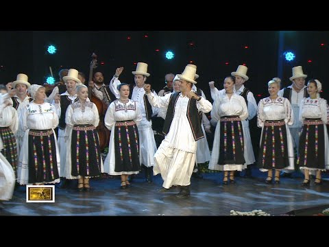 Ansamblul Folcloric Cununița - Suită de Codru (@Tezaur Folcloric)
