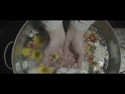 Via Daca - Paparuda (Dj Go! Summer Skank) Free Wav Download