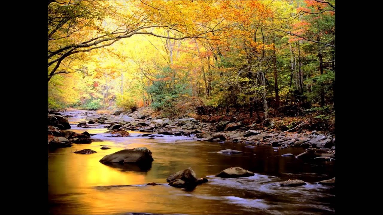 Promotional video thumbnail 2 for Lana Turner Wilson & The Love TKO Band