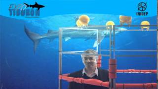 DIA 2 Expo Tiburon299