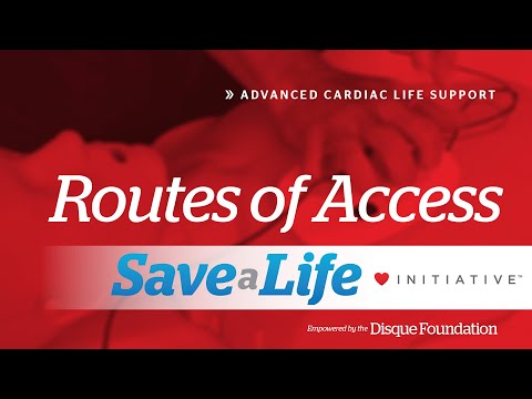 4h: Routes of Access (2021) OLD