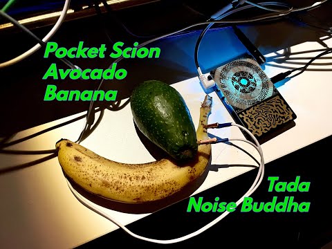 Instruo Pocket Scion image 17
